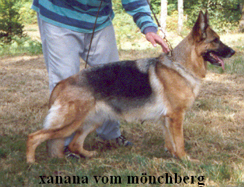Xanana Vom monchberg